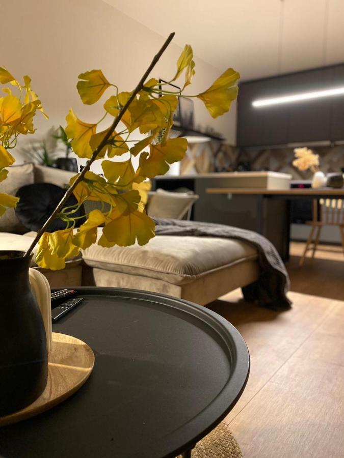 Apartament Boosko Me 2 Busko-Zdrój Zewnętrze zdjęcie