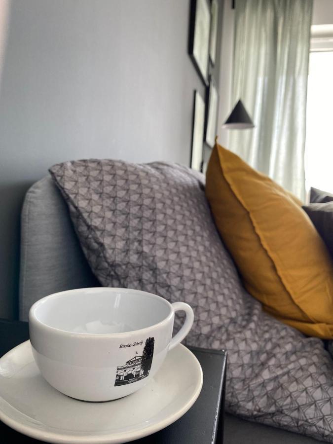 Apartament Boosko Me 2 Busko-Zdrój Zewnętrze zdjęcie